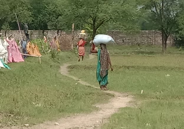 Despite the ban, fearless smugglers are sending Chinese garlic to India