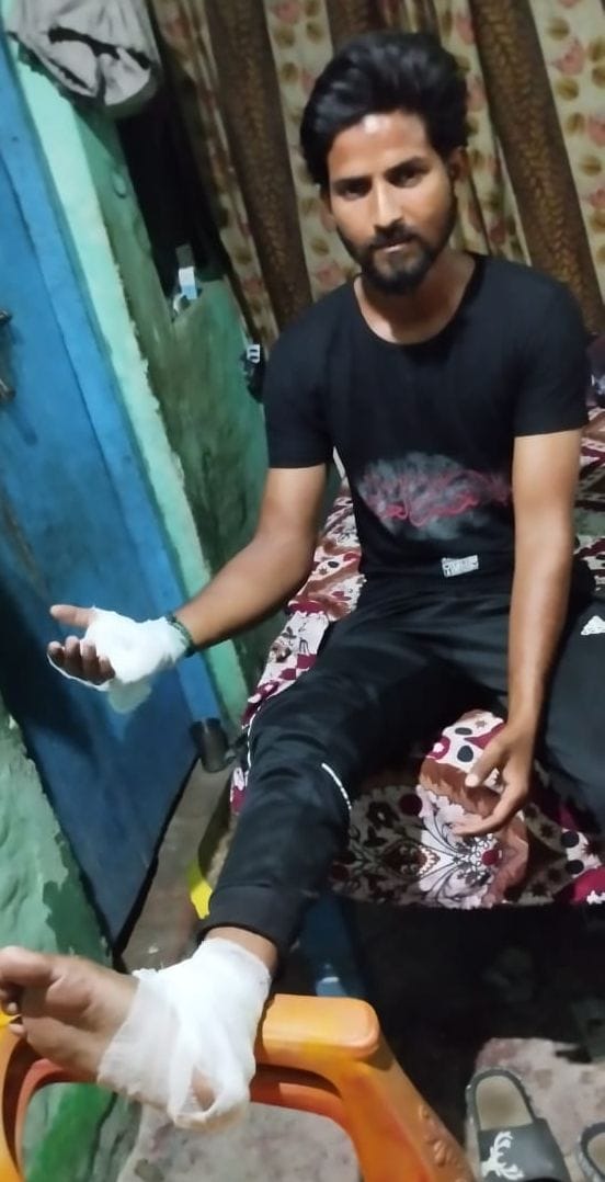 Wolf injured nine people