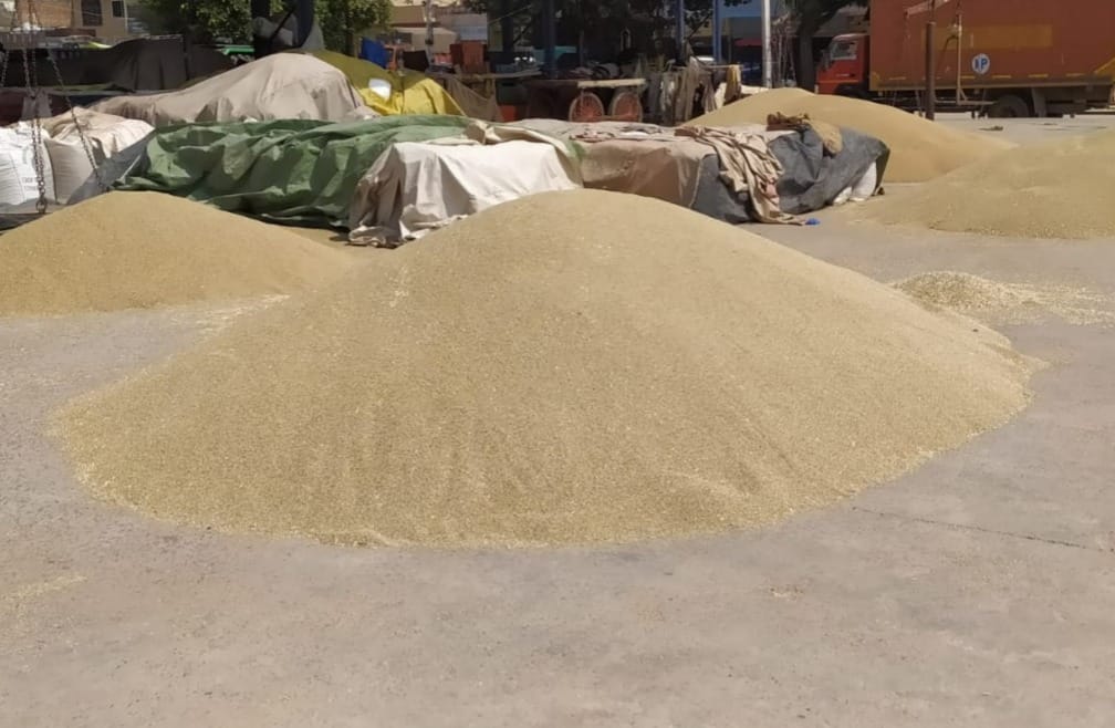 72 percent crop was lifted