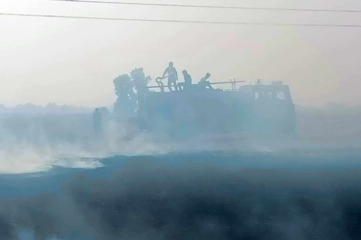 Due to the fire, crop residue in about 50 acres of land and paddy crop in one acre of land got burnt.