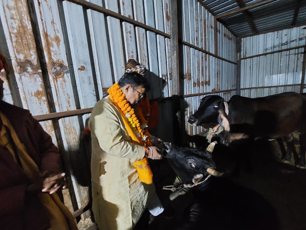 A cattle rearer will get Rs 12,000 for raising five Nandis.
