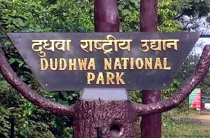 Dudhwa National Park ready for Christmas and New Year celebrations how you can book online