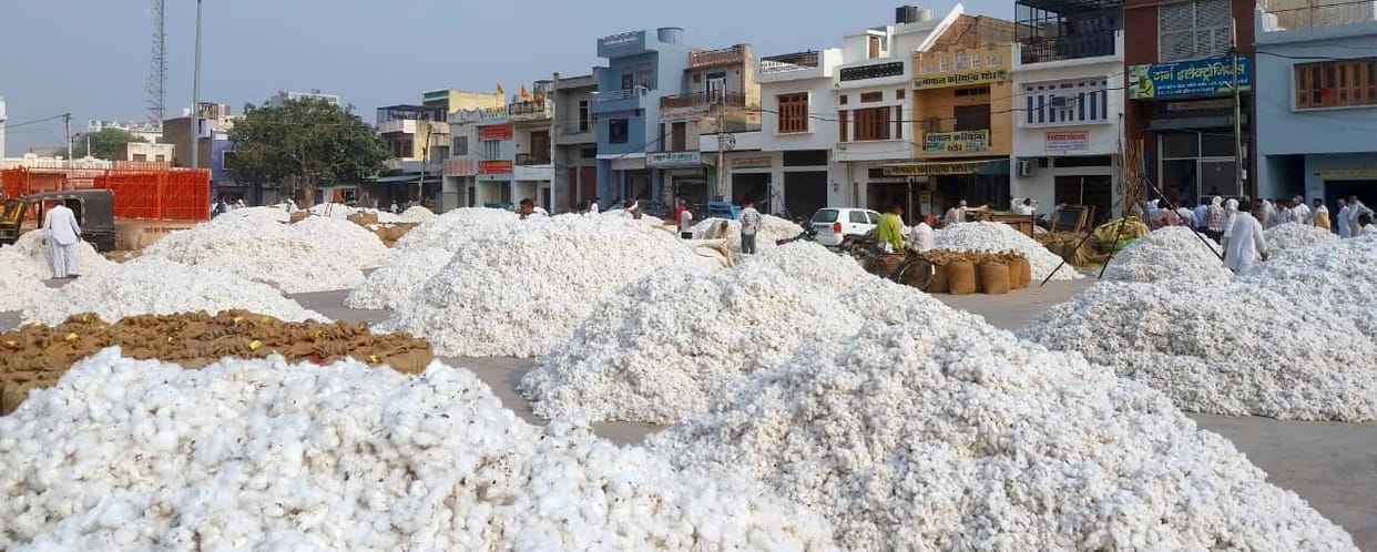 PR Paddy worth Rs 8.25 crores paid, cotton getting good prices
