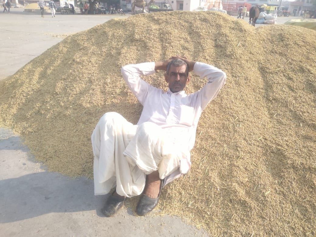 Animal fodder is being made due to paddy not being sold