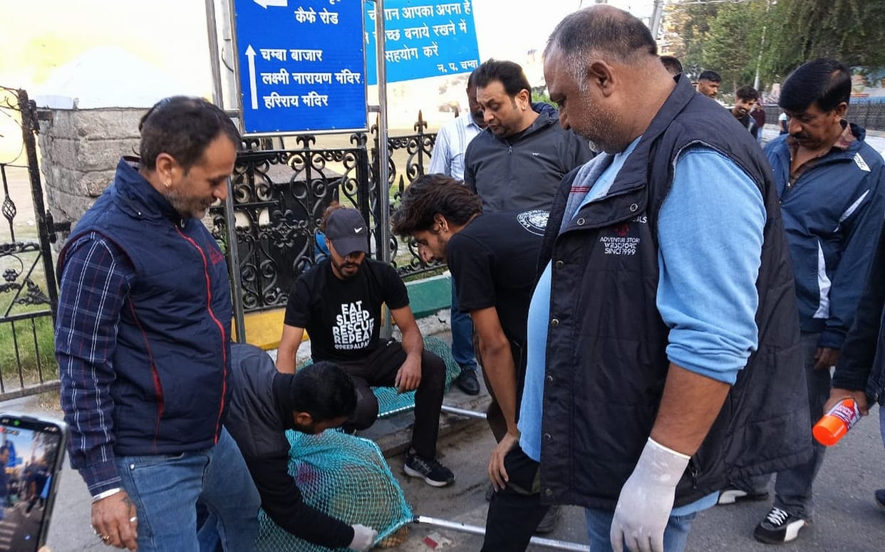 Anti rabies injection given to more than 100 abandoned dogs