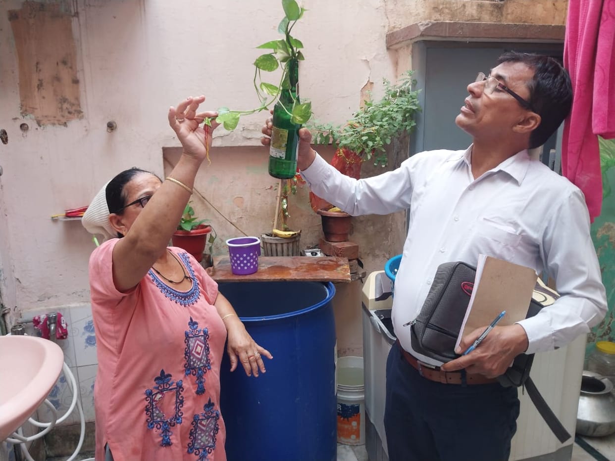 Woman found dengue positive in city, cases reported