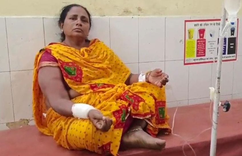 Five including two women injured in wild animal attack