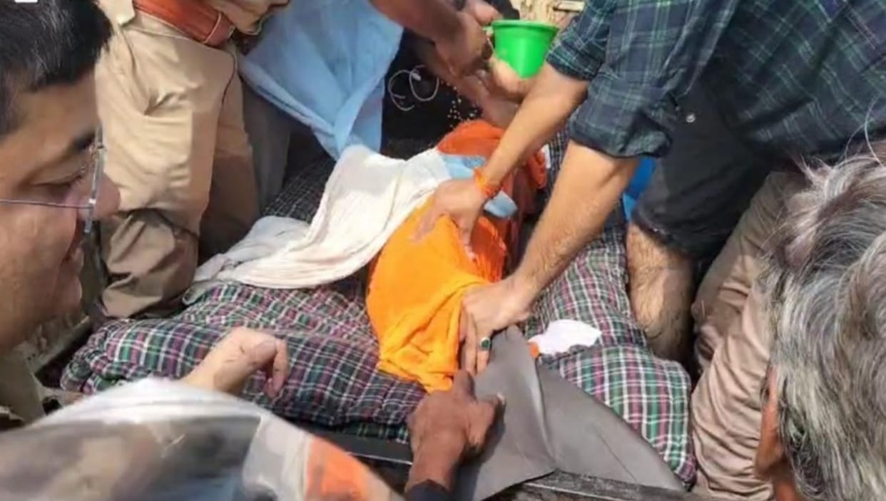 Female dolphin dies after suffering without water, another one saved