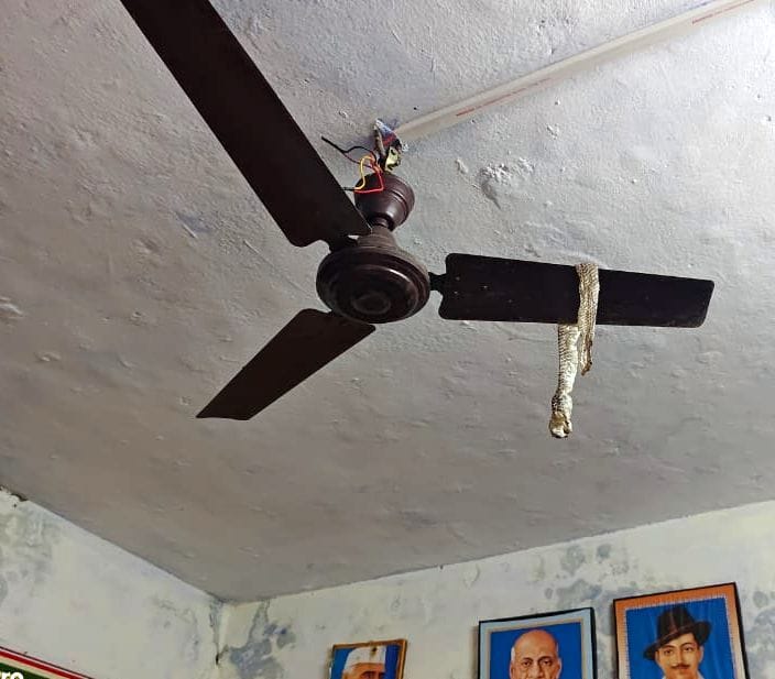 Snake's slough hung on fan, video goes viral