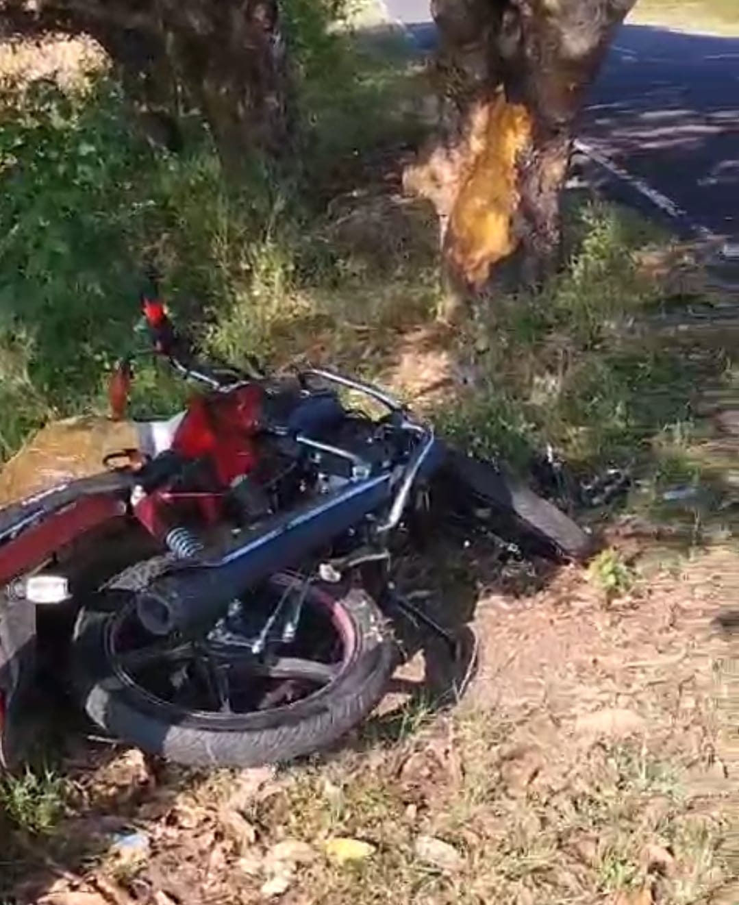 Father-in-law killed as bike hits tree The Amarwada Chhindi road accident