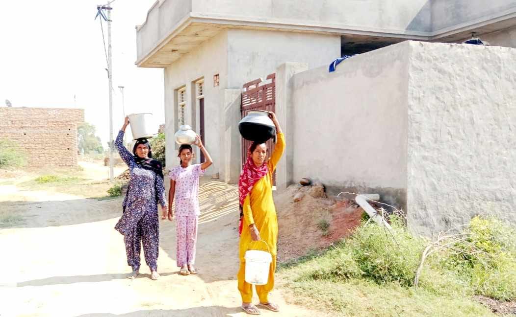 Drinking water crisis in Bhuna's Rishi Nagar Colony, people are bringing water from other wards.