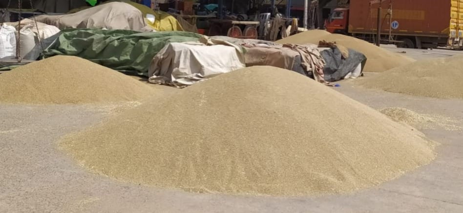 76% of millet was lifted