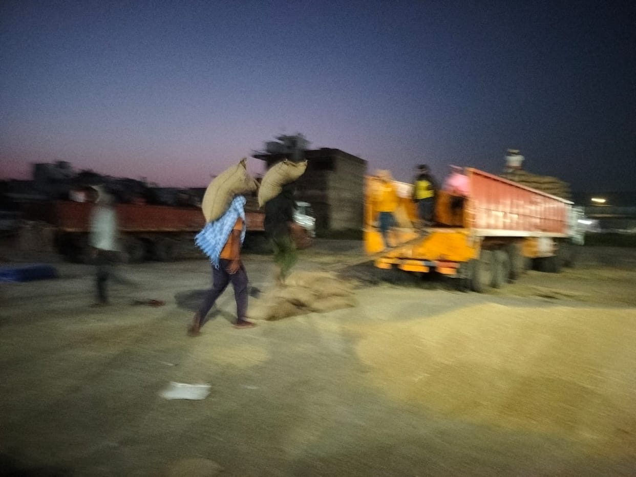 6 lakh bags of millet have been purchased so far