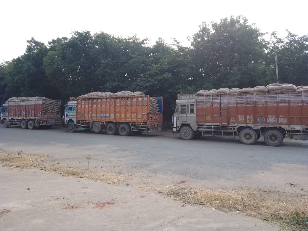 So far 137630 quintals of millet has been lifted in Narnaul and 84970 quintals of millet in Nangal Chaudhary.