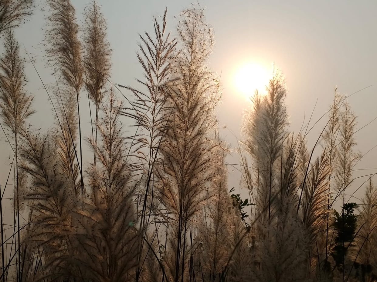 Cold increased due to fog and clouds