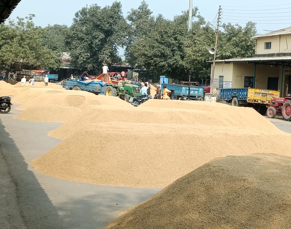 Slow paddy procurement and slow payment speed are also slow