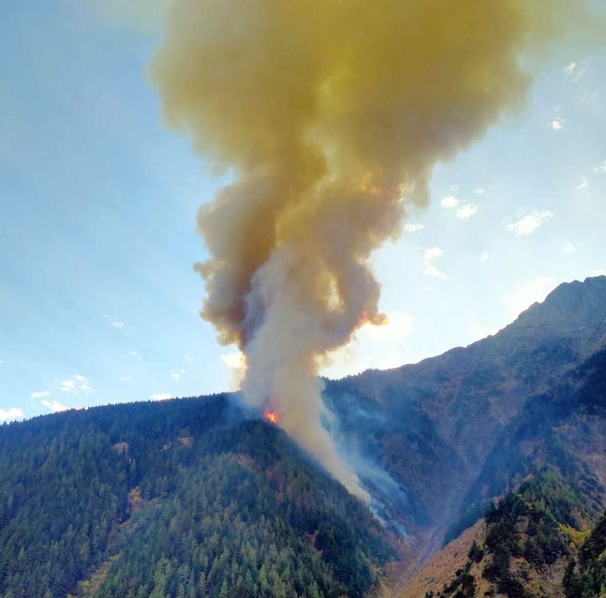 Prajamandal came forward to extinguish the forest fire