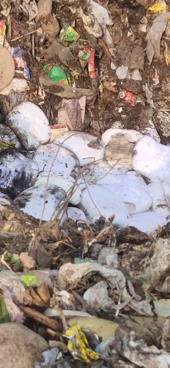 Eight quintals of smelly cheese destroyed