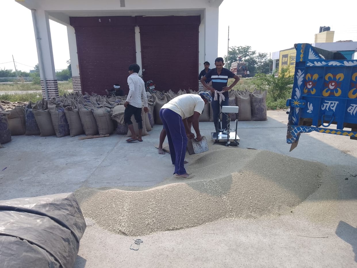 1095401.8 quintals of millet has arrived in the district so far