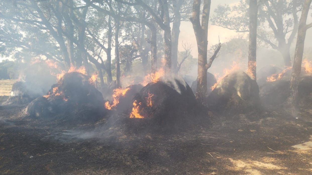 Pakistan is also troubled by pollution caused by stubble burning Along with India
