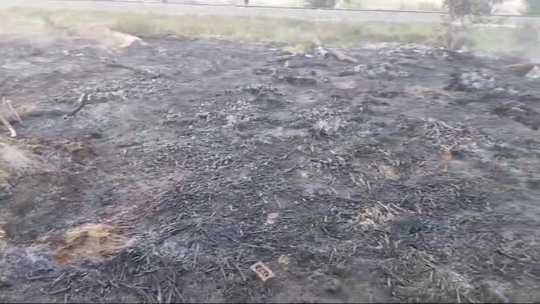 400 maunds of animal feed and two trolleys of fuel burnt to ashes
