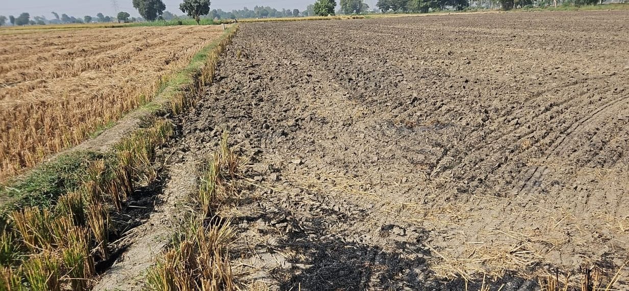 Stubble burnt at five places in the district on Thursday