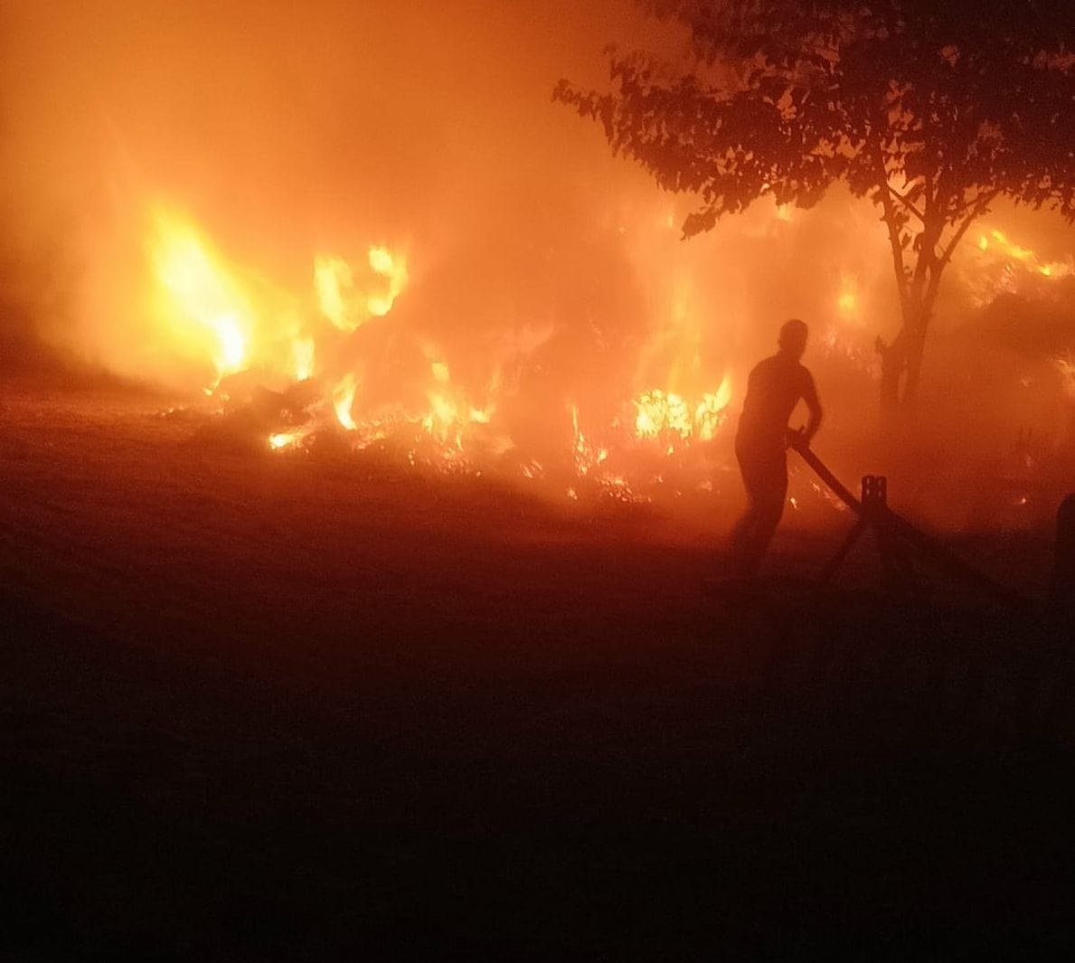 Animal feed and fuel burnt due to fire at 14 places