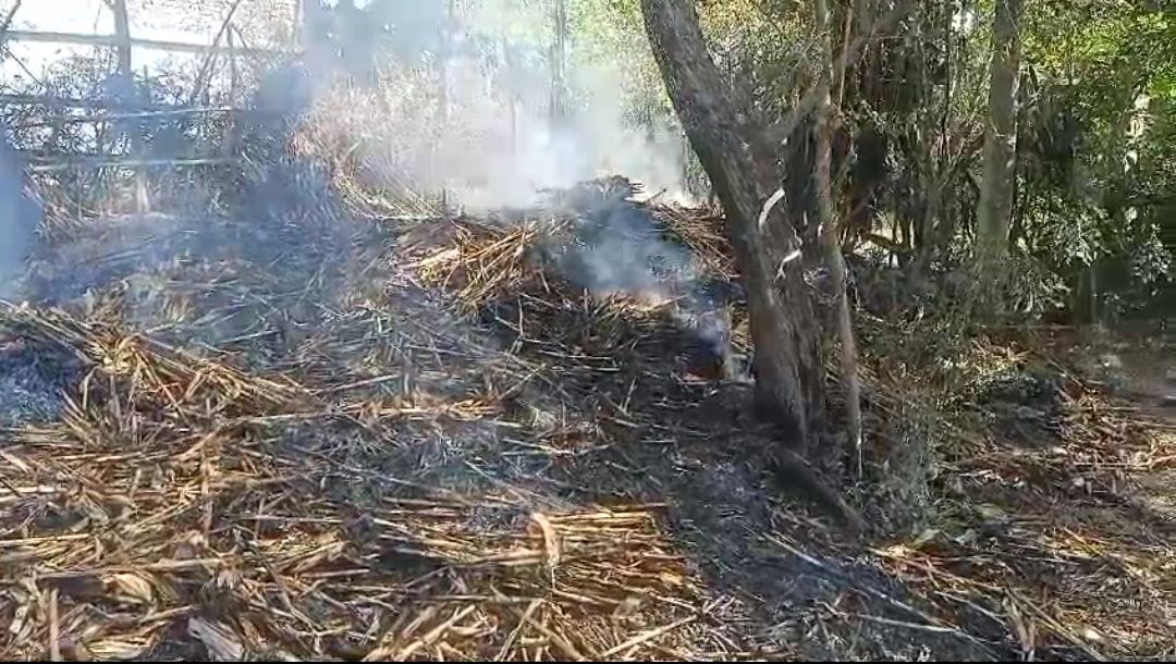 Cattle shed caught fire due to firecrackers in Gondpur Banhera