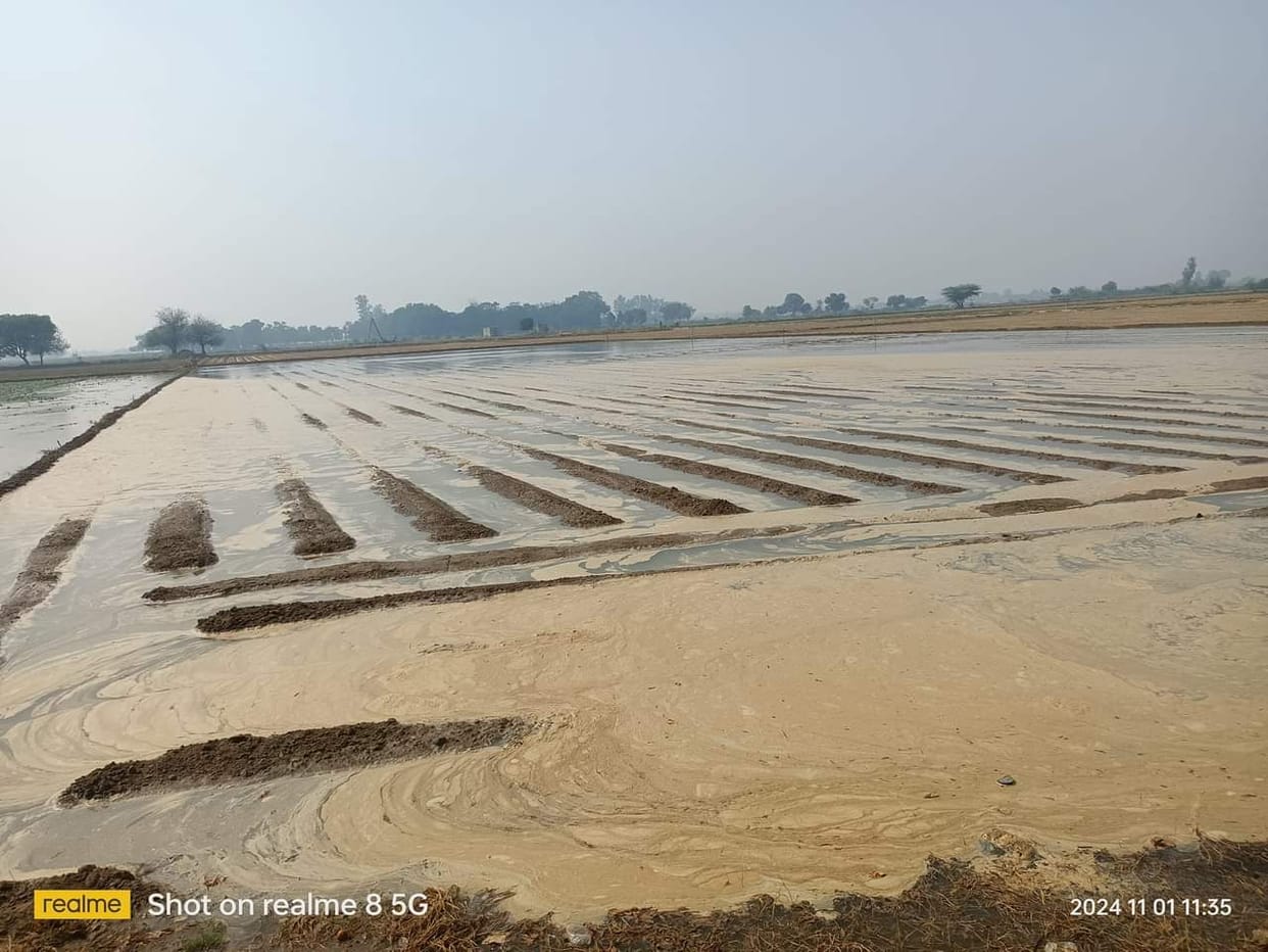 250 bigha crops lost due to Bombay track cut