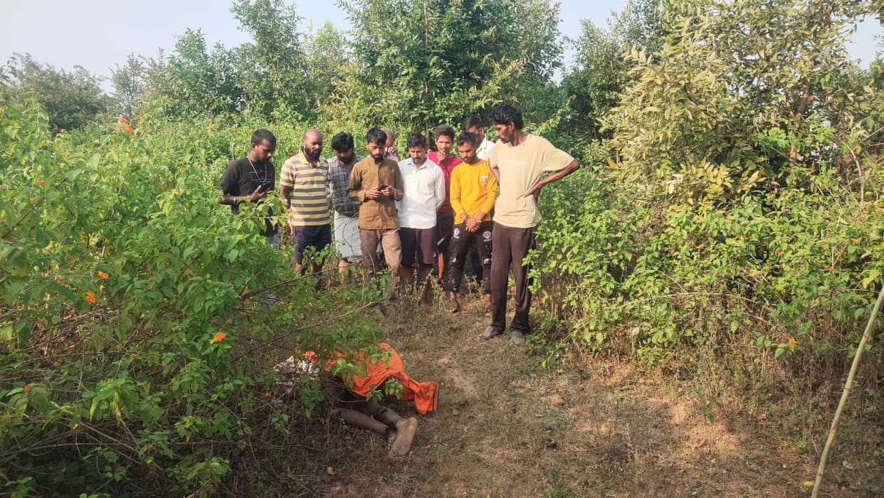 Wild elephant took the life of an old man, the old man had gone out to defecate.