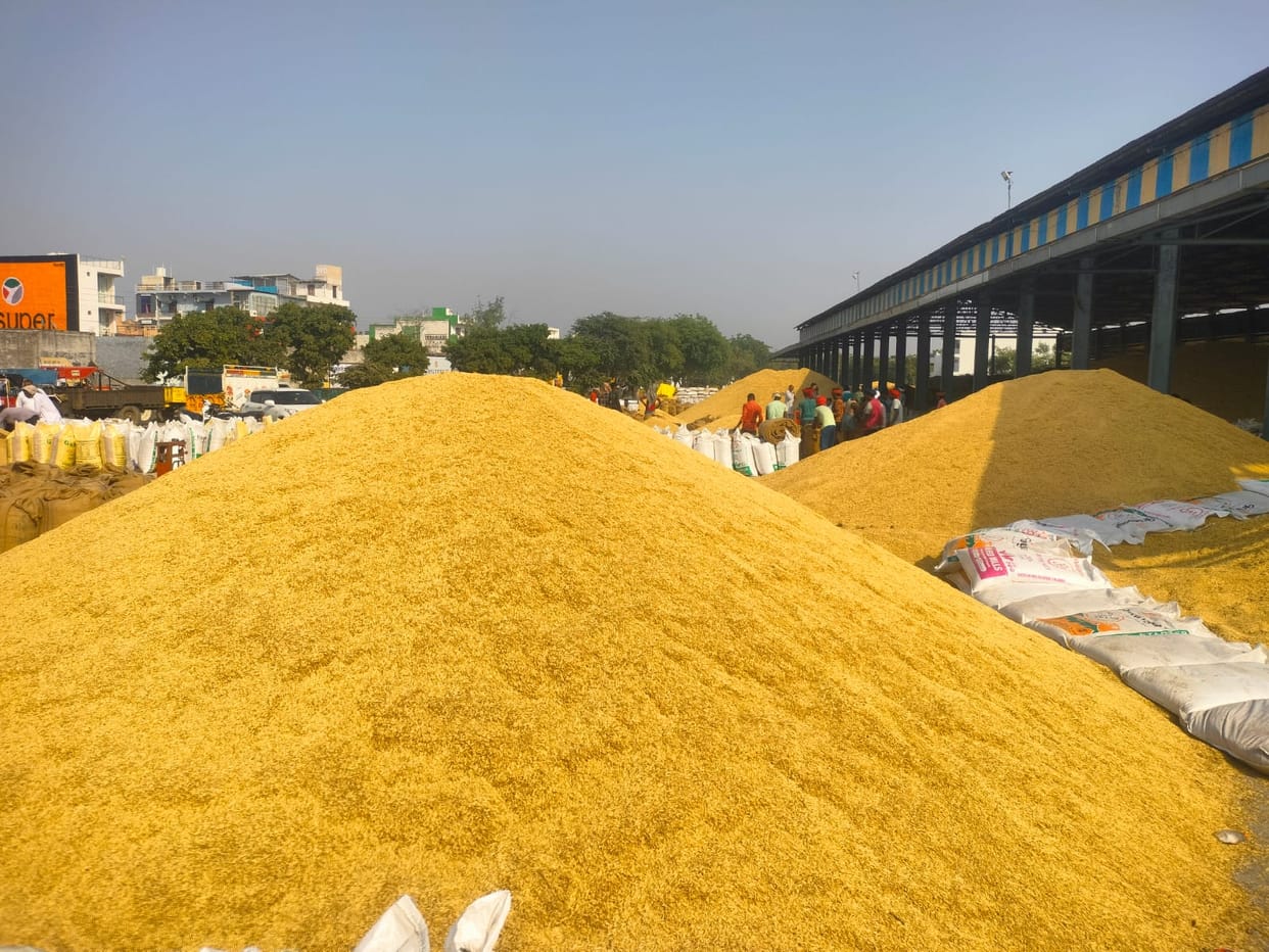 371330 quintals of millet reached the market, lifting was 363660
