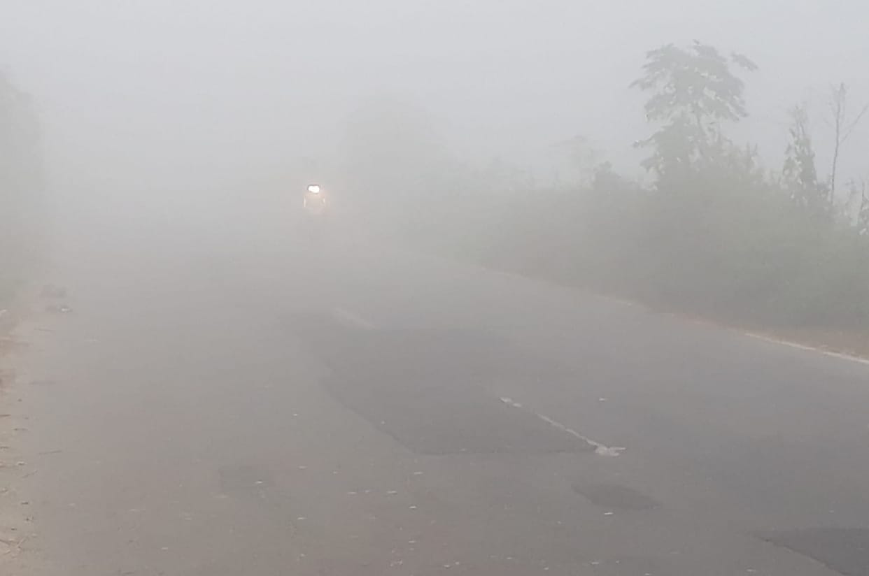 Terai region covered in fog due to fluctuation in temperature