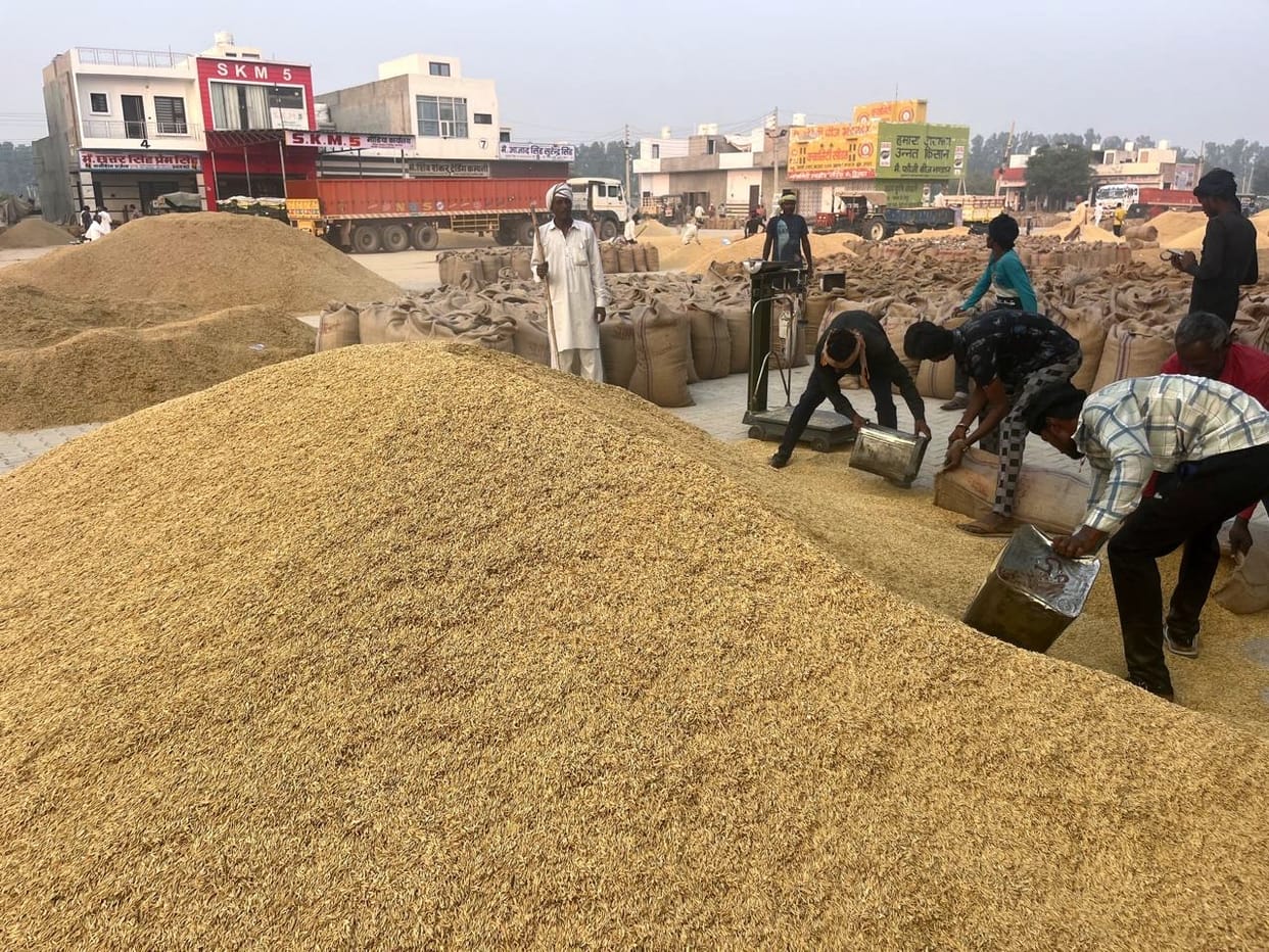 Only half the paddy reached the market compared to last year