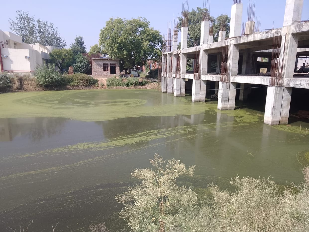 Fear of spread of dengue in rain water, responsible unaware