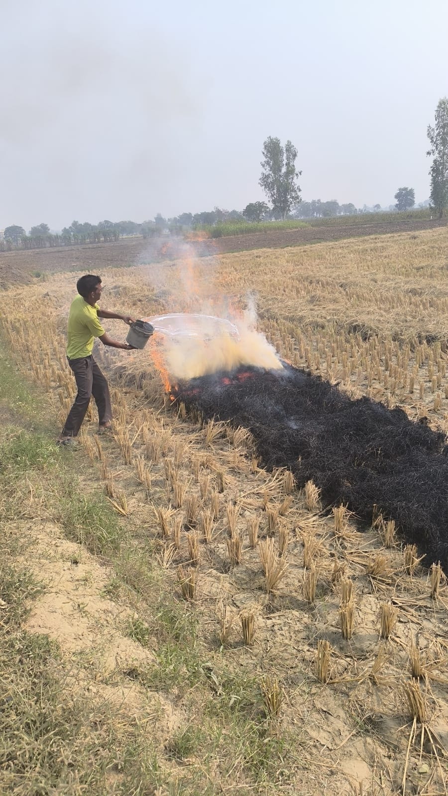 Cases of burning of crop residue are not stopping in the district, red entry of 38 farmers registered