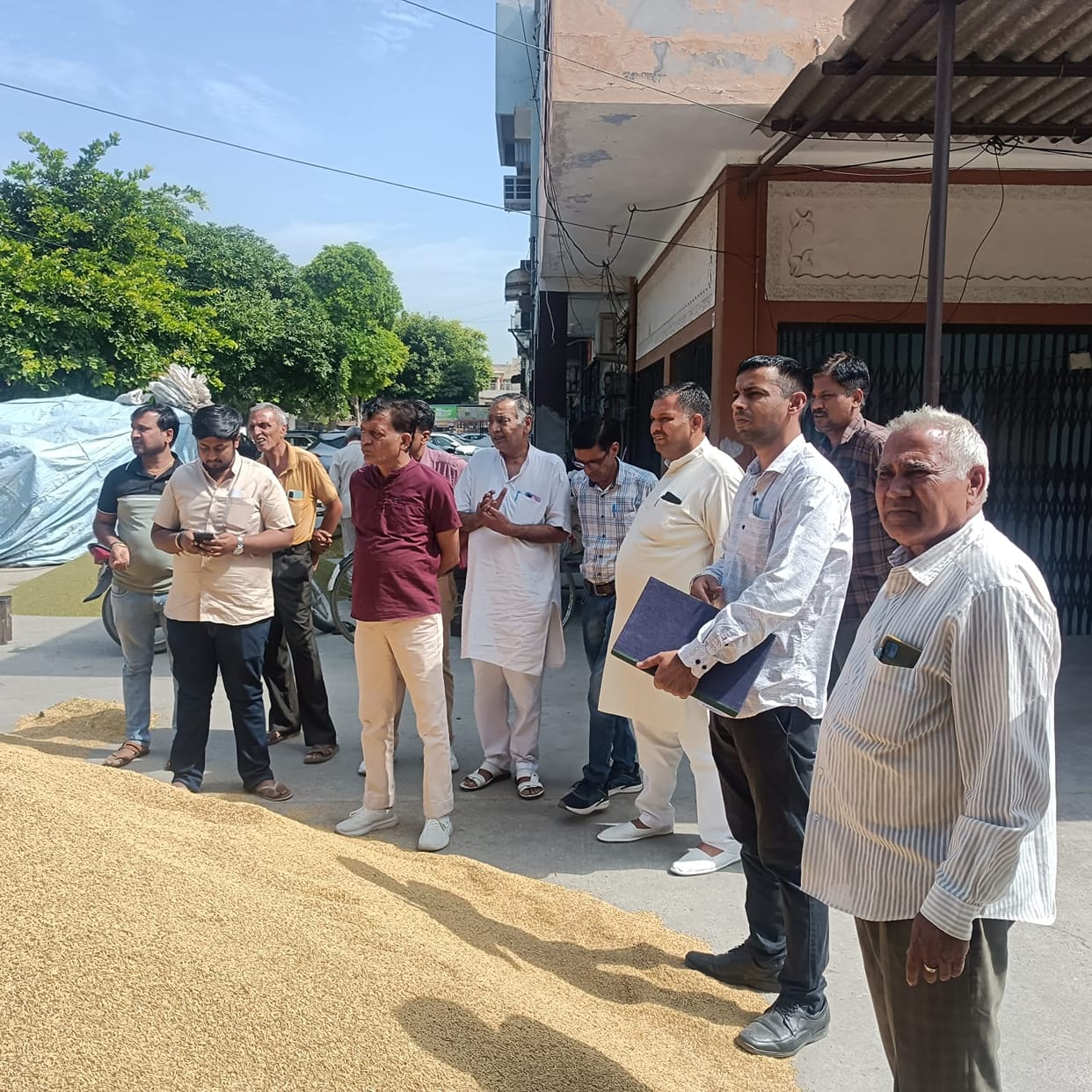 Delay in rain in July reduced paddy yield by 25%