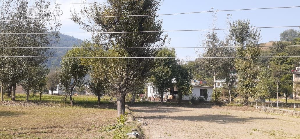Electrical wires touching the ground, a cover on the eyes of the board management