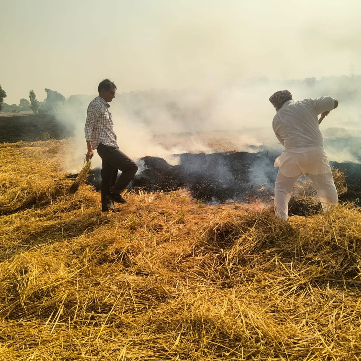 Crop remains burnt at 18 places in the district in two days, maximum AQI reached 400