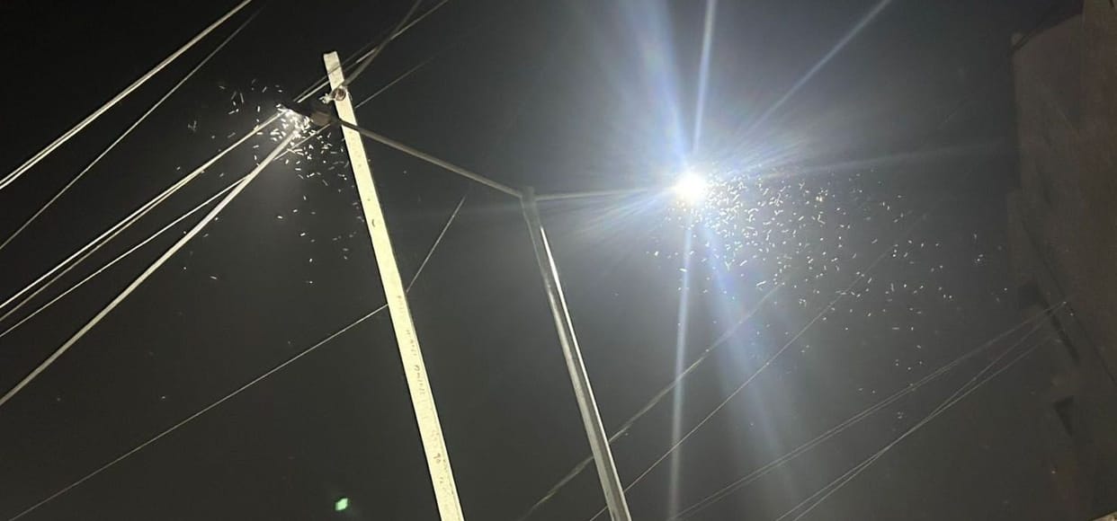 Lots of mosquitoes on the lights, raining like rain