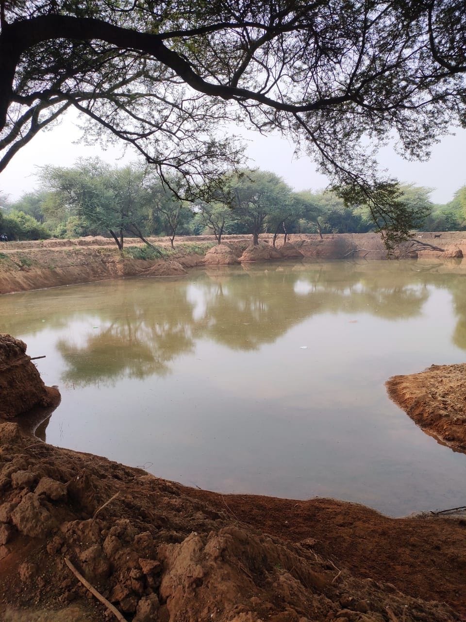 Construction of Kachcha Johar in village Bihali and Kanti Ki Bani, ground water level will increase.