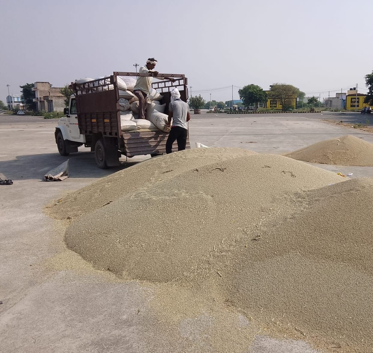 Arrival of 2957.5 quintals of millet in Narnaul after 4 days holiday