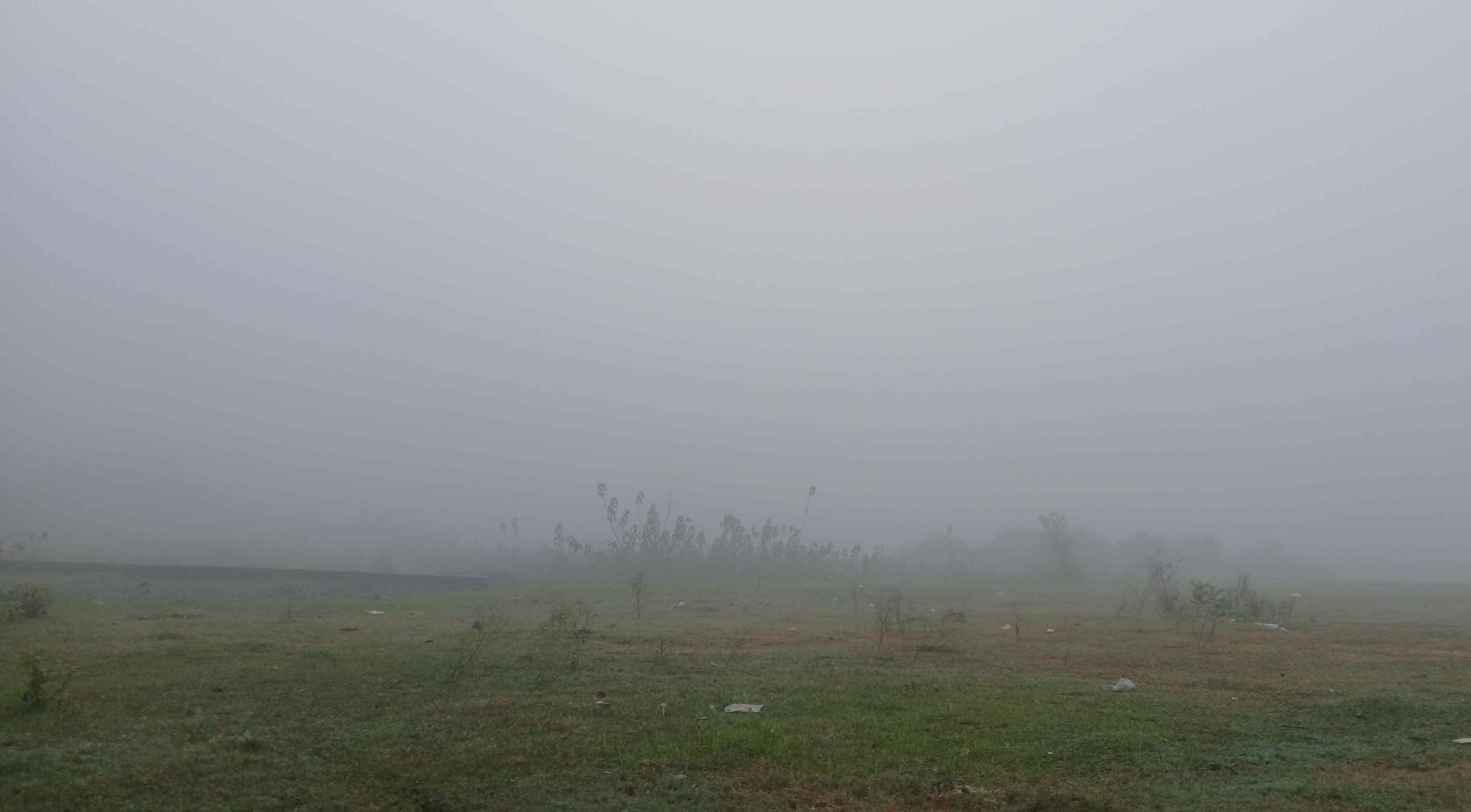 Fog remained for the second day, mild weather