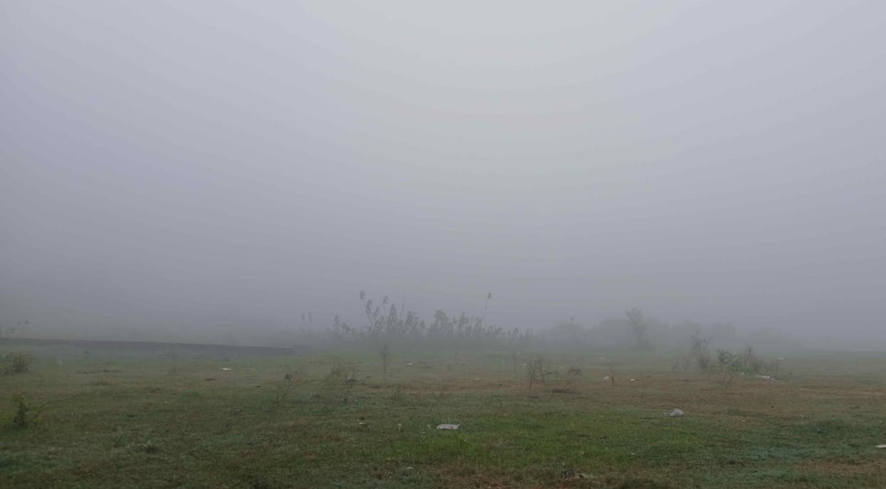 Fog remained for the second day, mild weather