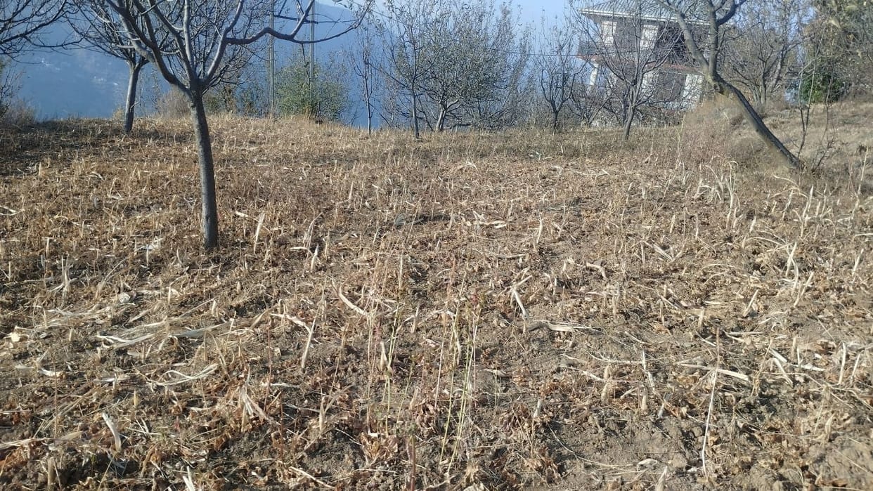 Fields dried up due to lack of rain, wheat sowing halted in the district