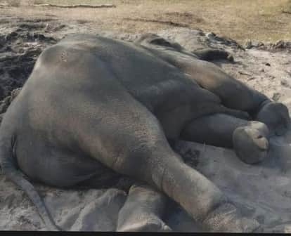 सांकेतिक तस्वीर