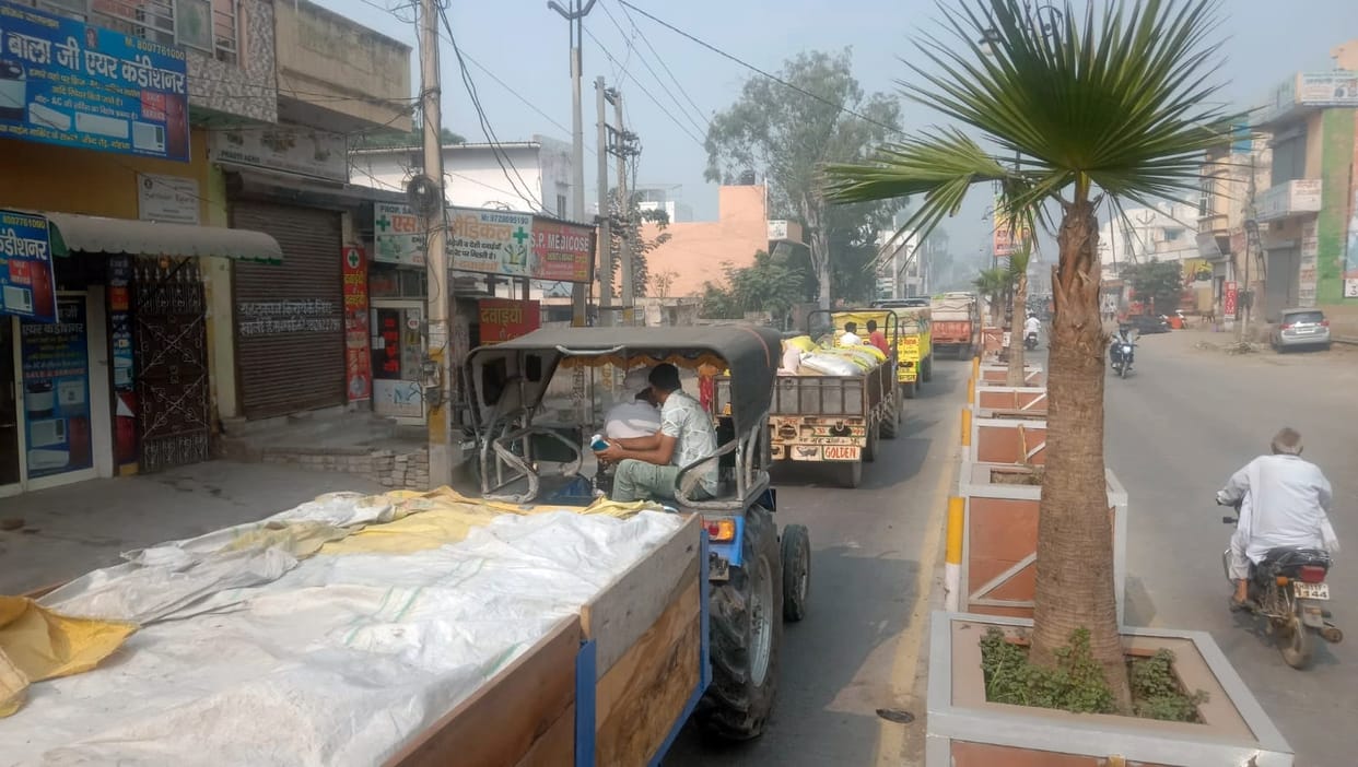 Arrival of paddy increases in the market, purchase of 2.19 lakh metric tons