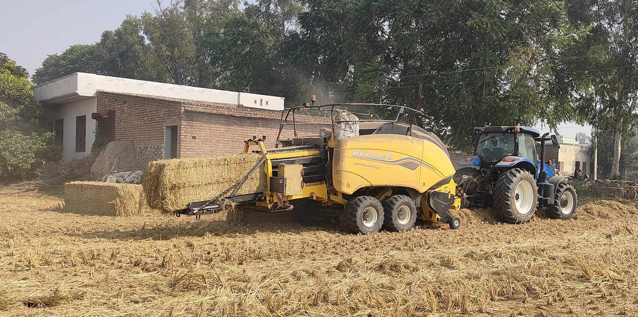 Bales have been made in more than 56,000 acres in Tohana
