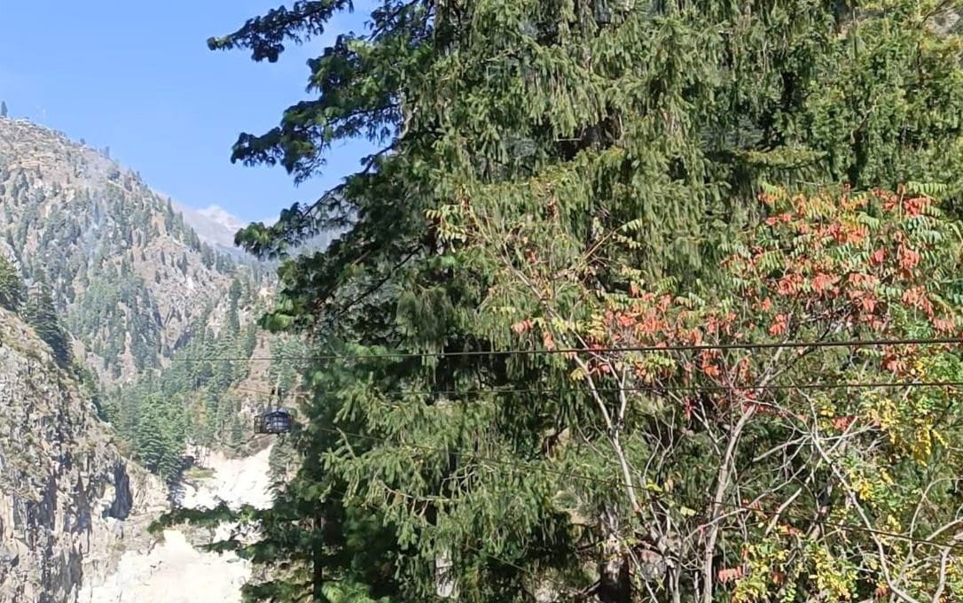 Telegram Spain 40 quintal ration will be sent to Malana today
