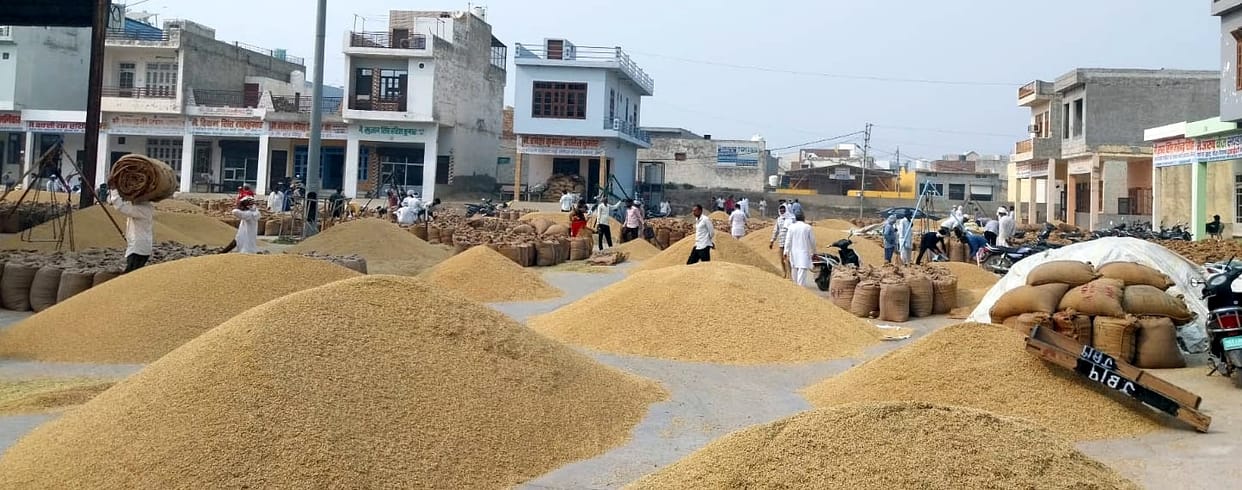 PR purchased more than one lakh quintals of paddy