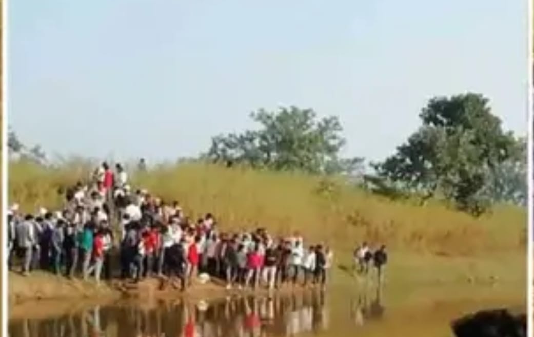 मधुमक्खी का हमला